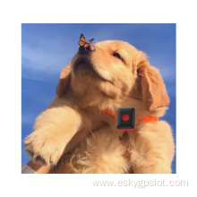 4G Smart Dog GPS Collar